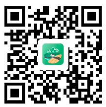 20241115839463.png image.png